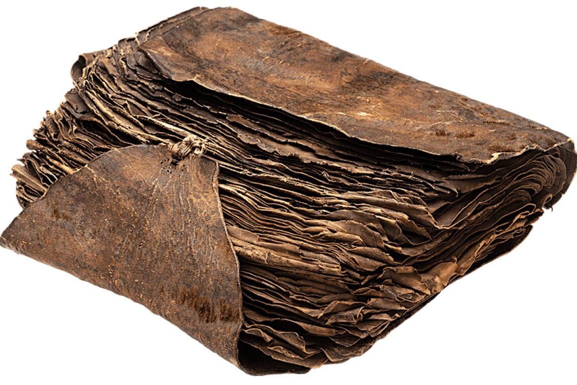 Archaeology in Focus: Manuscripts as Artifacts in Iceland's Middle Ages at Calgary Central Library