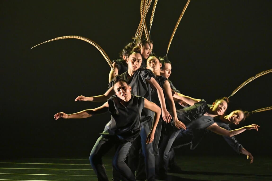 BIRDY | Hung Dance at The GRAND
