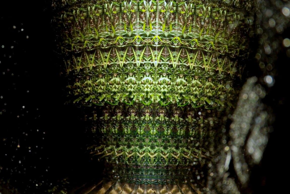 Poster for Nickle @ Noon: Dwayne Martineau - Artist Talk