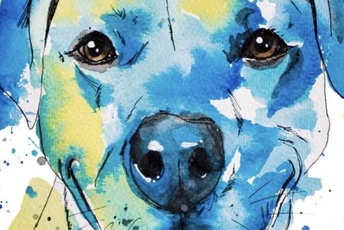 Paint Your Pet at Calgary