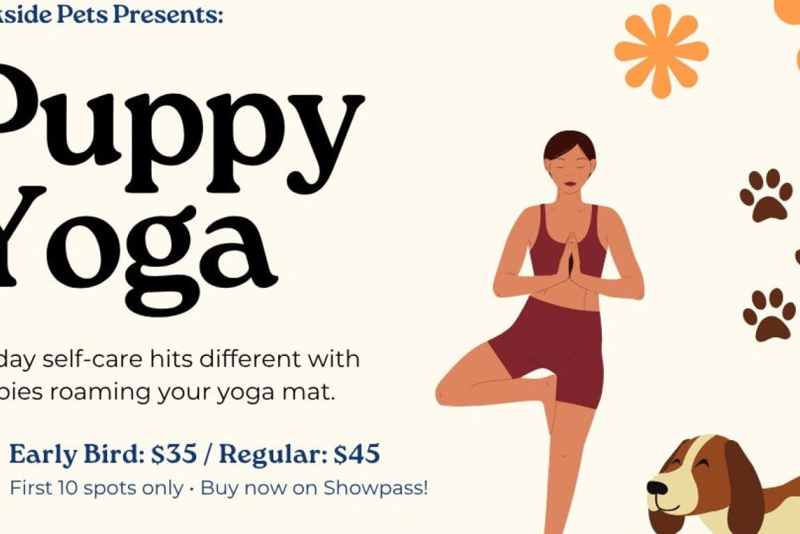 Paws & Flow | Gentle Puppy Yoga, Spiced Cider & Tasty Treats at Calgary