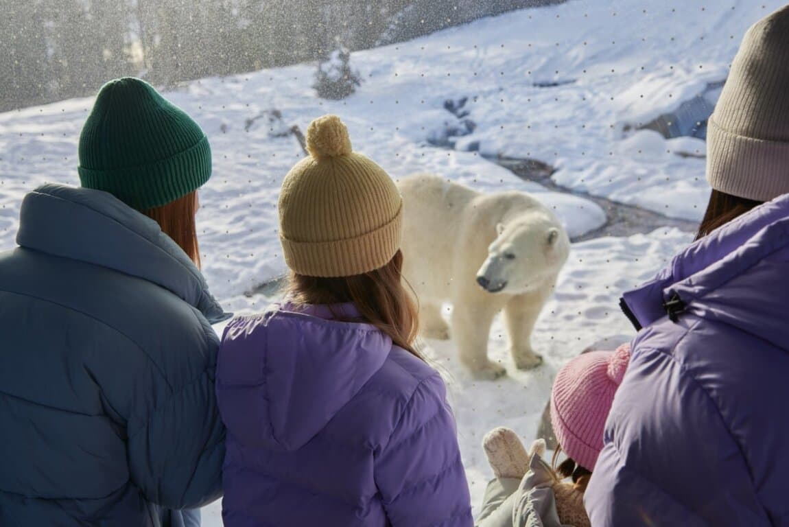 Sunlight to ZOOLIGHTS at Wilder Institute's Calgary Zoo