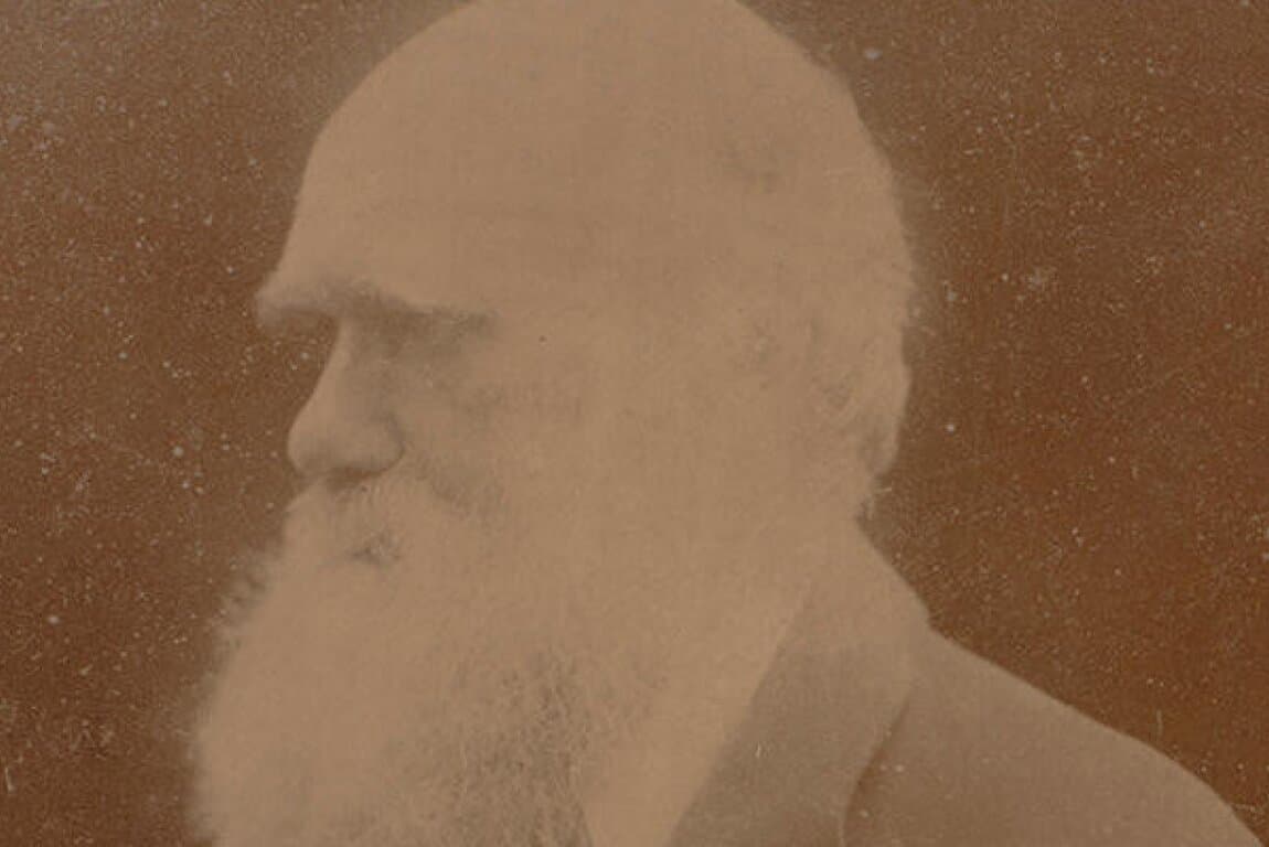 TOUR – All Netted Together: Darwin, Wallace, and the Social Life of a Theory at Calgary